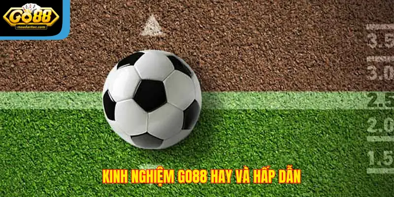 Giới thiệu kinh nghiệm Go88