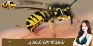 Giải Mã Bị Ong Đốt Đánh Đề Con Gì? Con Số May Mắn Hôm Nay