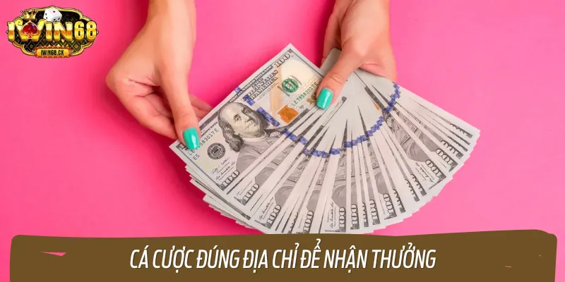 Đặt cược đúng địa chỉ mới có tích lũy nhận quà