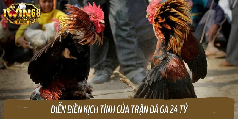 Diễn biến đầy kịch tính của trận đá gà 24 tỷ đồng