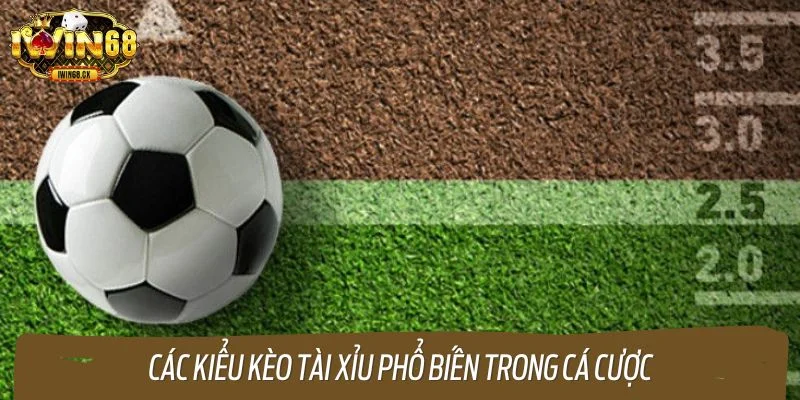 Các kiểu kèo tài xỉu phổ biến trong cá cược