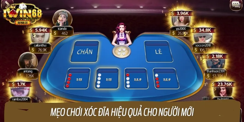 Một vào mẹo hay khi chơi xóc đĩa dành cho người mới