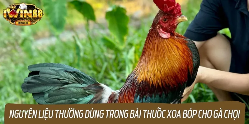 Các nguyên liệu sử dụng trong bài thuốc xoa bóp đa dạng