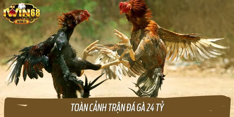 Một vài thông tin trước trận đấu gà 24 tỷ hấp dẫn